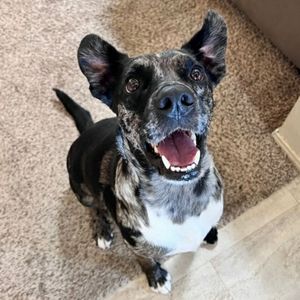 Meet your Posher, Victoria